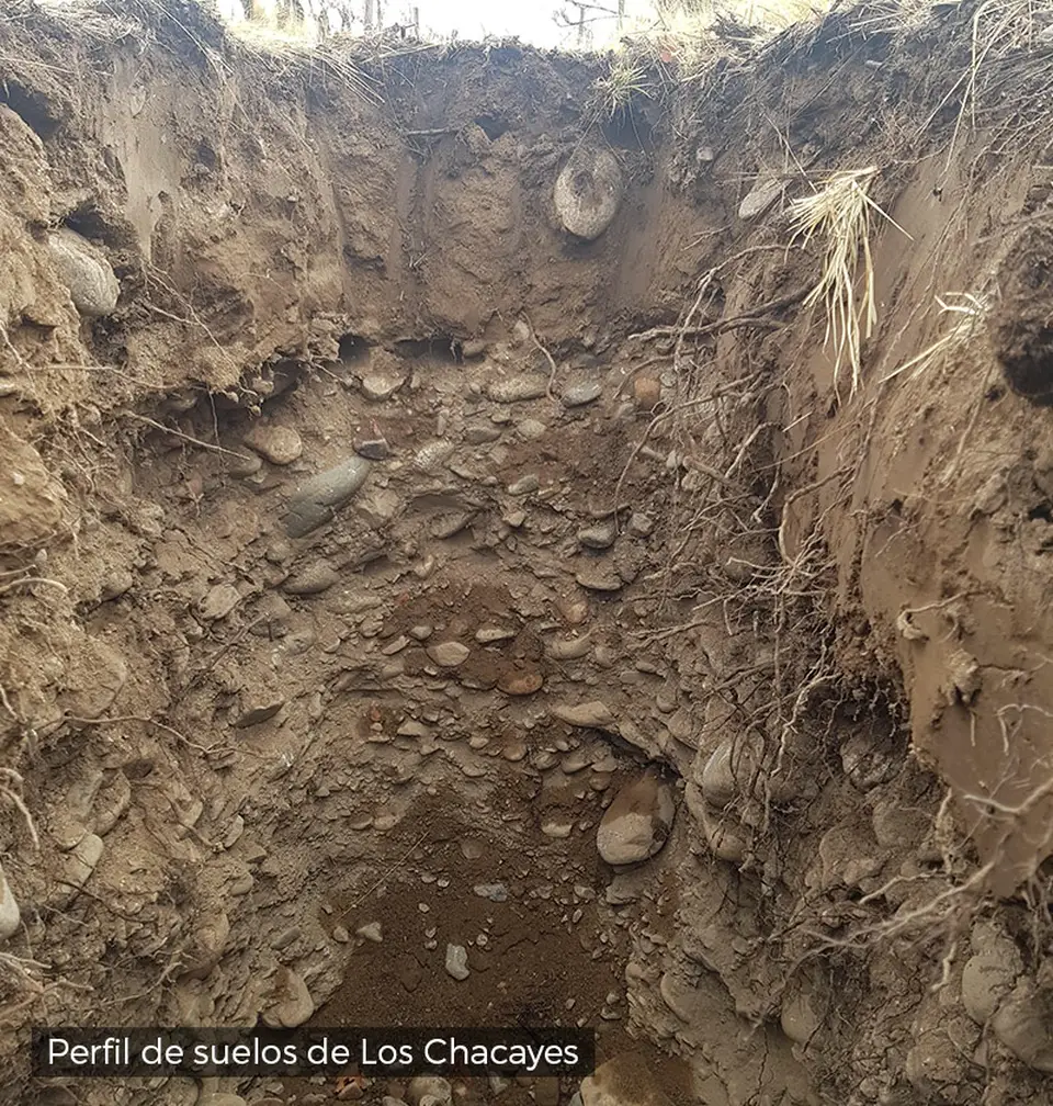 Perfil de suelos de Los Chacayes: calicata con canto rodado