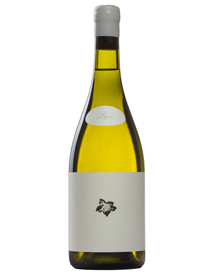 Mundo Revés Chenin Blanc Liger 2025 — Botella de 750 ml