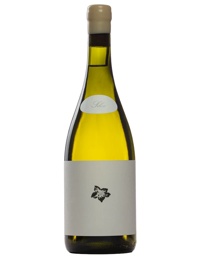 Mundo Revés Chardonnay Silex 2025 — Botella de 750 ml